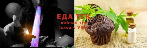 стаф Горняк