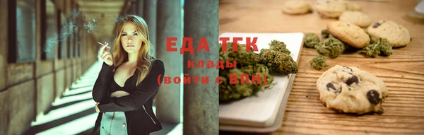 стаф Горняк