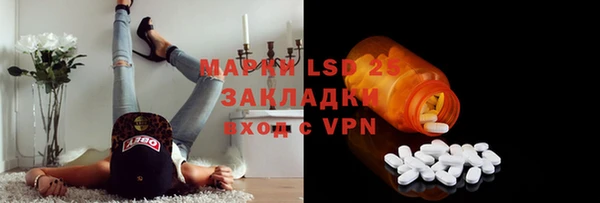 стаф Горняк
