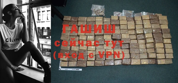стаф Горняк