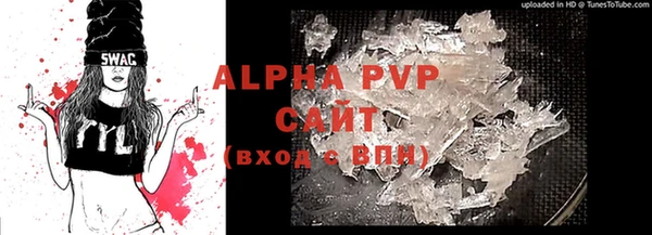 стаф Горняк
