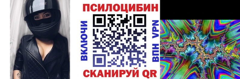 KRAKEN как зайти  Ершов  Галлюциногенные грибы прущие грибы 